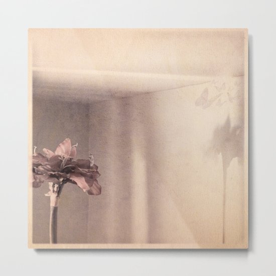afternoon light Metal Print