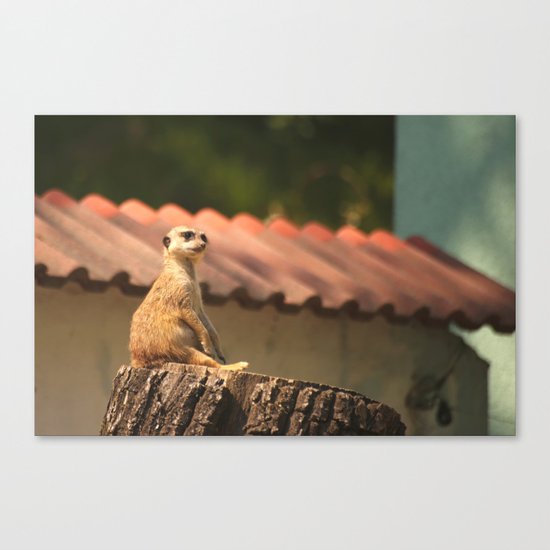 Funny Observer Canvas Print