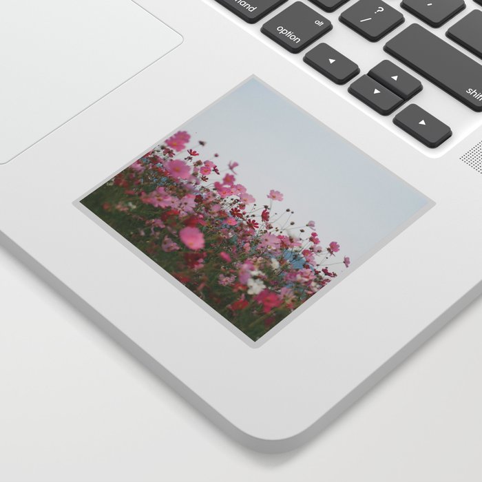 Flower photography by MIO ITO Sticker