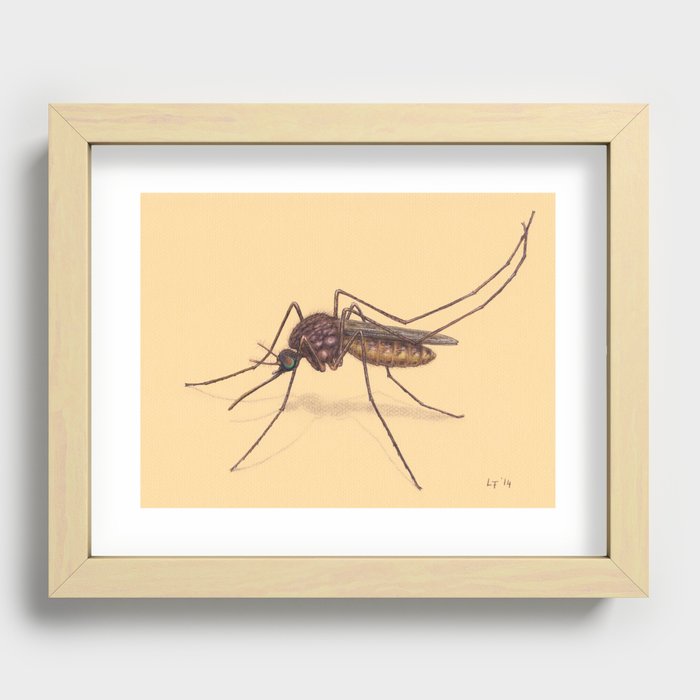 Mosquito by Lars Furtwaengler | Colored Pencil / Pastel Pencil | 2014 Recessed Framed Print