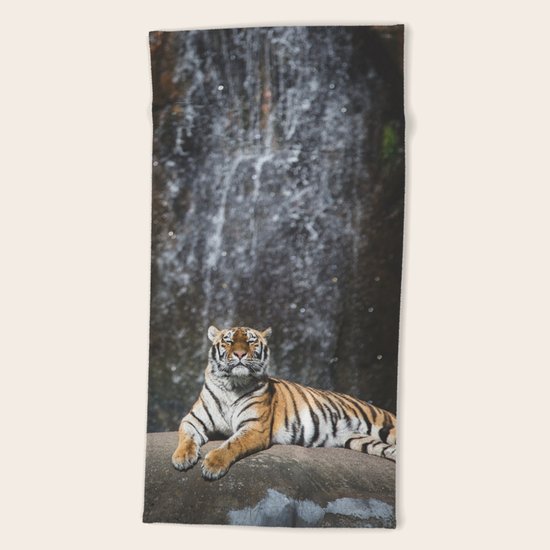 Big Cat 2 Beach Towel