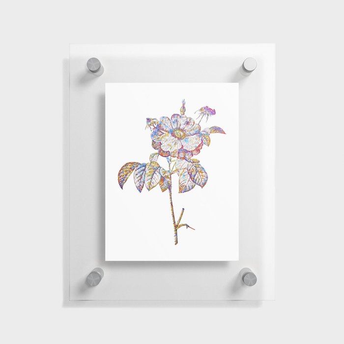 Floral Speckled Provins Rose Mosaic on White Floating Acrylic Print