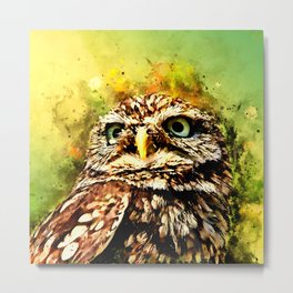 owl portrait 5 wsstd Metal Print