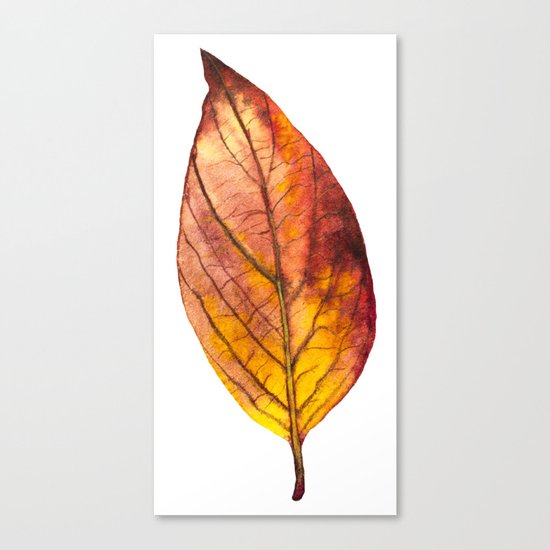 Autumn Leaf 03 Canvas Print