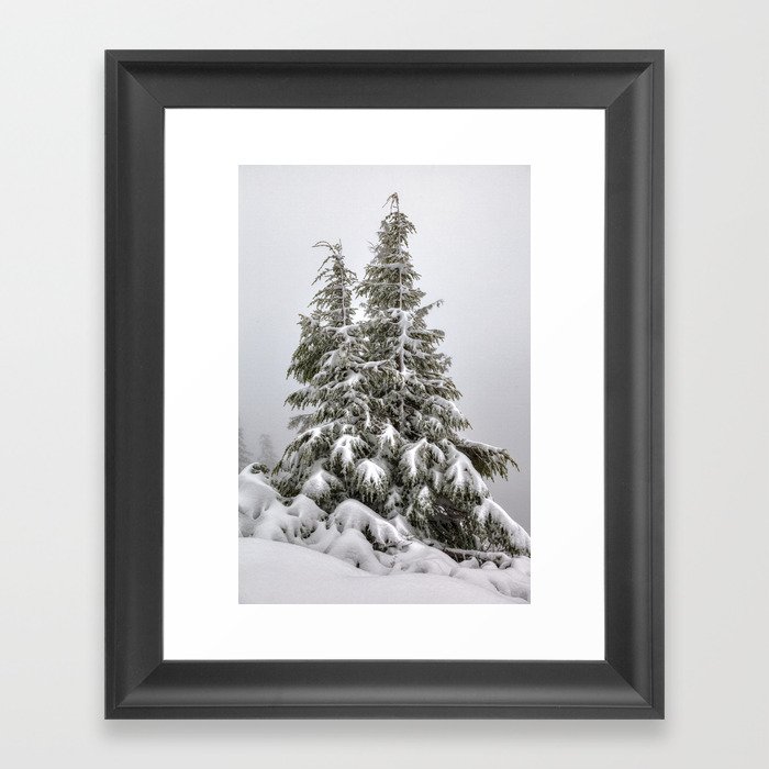 Snow Covered Trees Framed Art Print