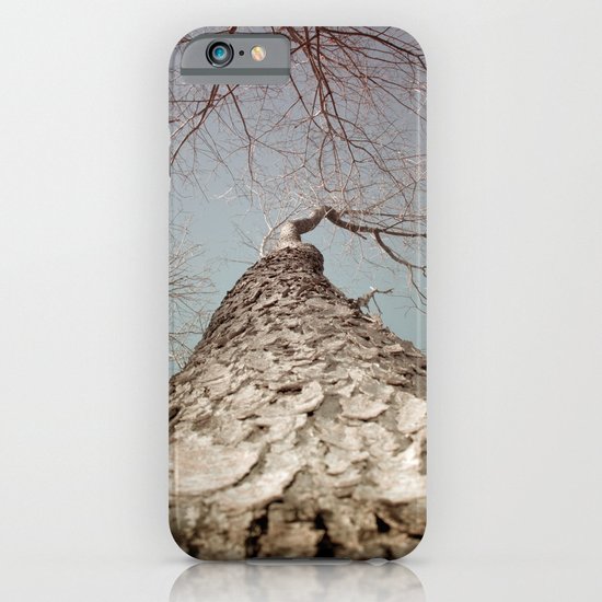 Tree iPhone & iPod Case