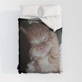 Cat Nap Comforters