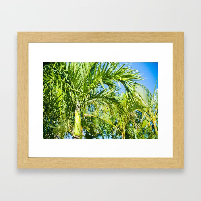 Keanae Palms Maui Hawaii Aloha Framed Art Print