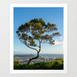 Dramatic tree over Waikiki, Hawaii Art Print