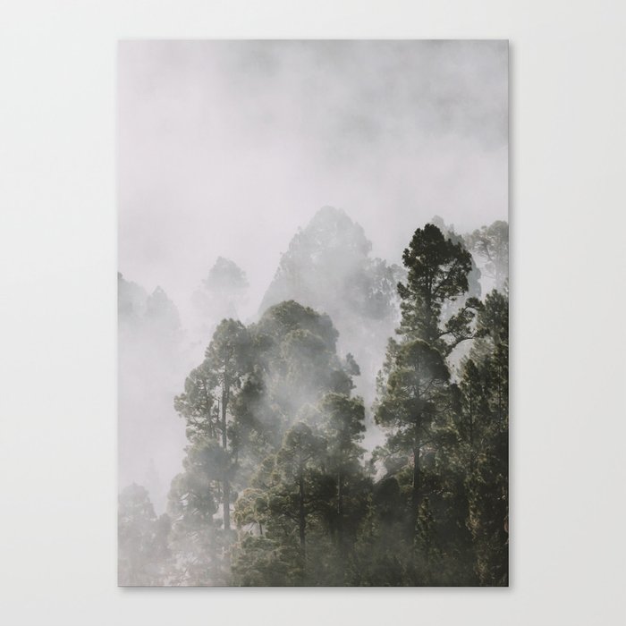 Tall forest trees above the morning mist Canvas Print