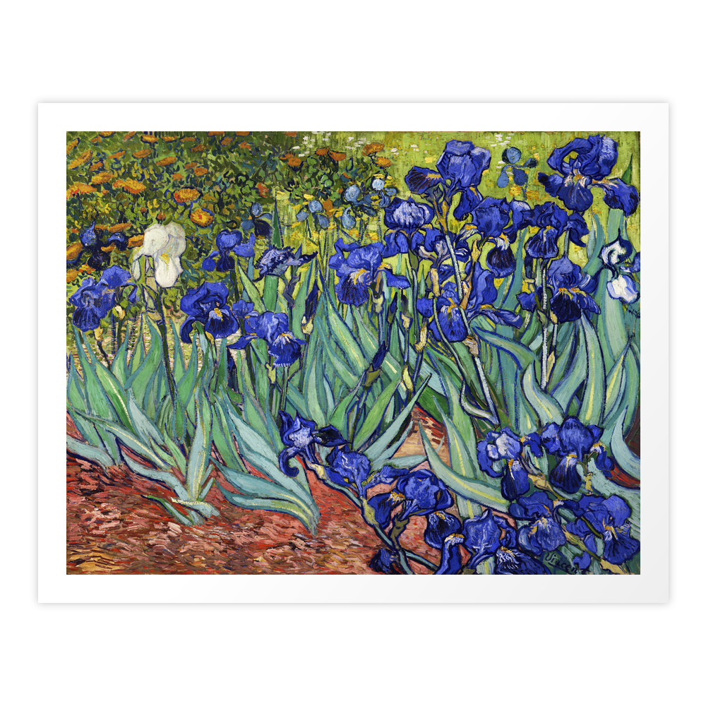 Irises by Vincent van Gogh Art Print by vintage_archive