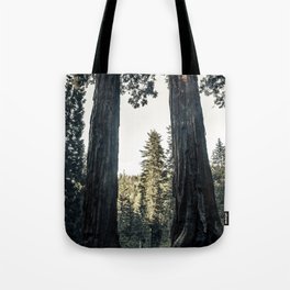 Twin giant redwoods / sequoias Pacific Coast California nature color landscape photograph / photography Tote Bag