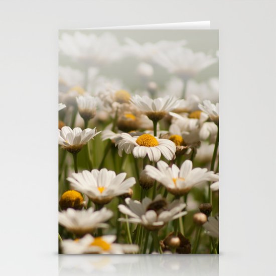 Wave of Daisies 2171 Stationery Cards