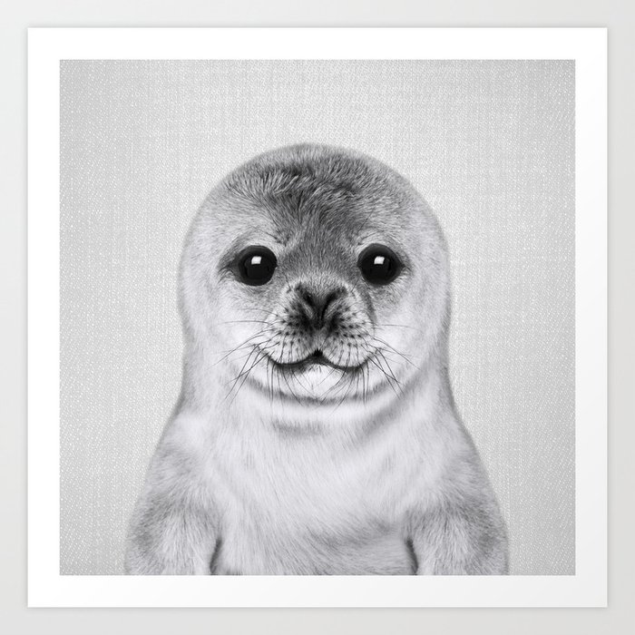 Baby Seal - Black & White Art Print