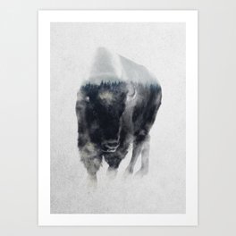 Bison In Mist Art Print