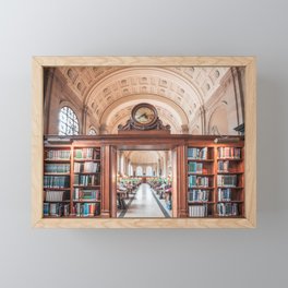 Boston Library Framed Mini Art Print