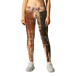 The red dust and the burnt cliffs Leggings