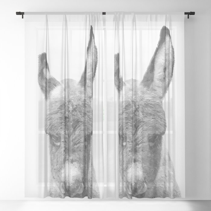 Sheer Curtain