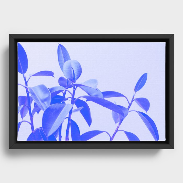 Rubber Plant Riso Framed Canvas