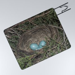Robins nest with eggs Picnic Blanket