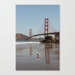 Seagulls and The Golden Gates Canvas Print