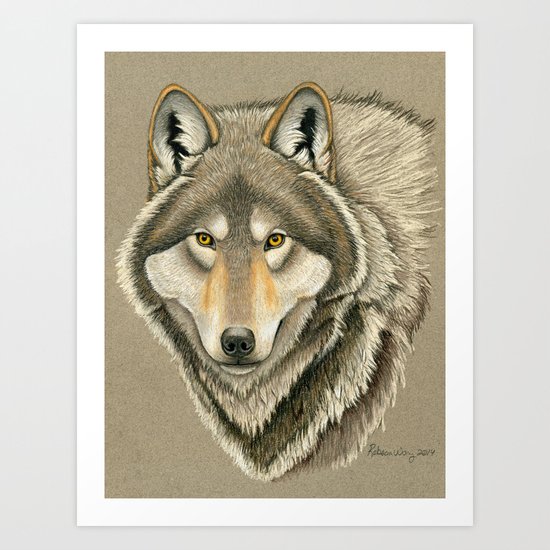 Grey Wolf Portrait Art Print