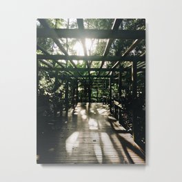 Forest and the sun Metal Print | Sunshine, Color, Trees, Argentina, Photo, Sunlight, Dawn, Digital, Green, Forest 