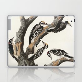 Birds of America (1827) by John James Audubon Laptop Skin