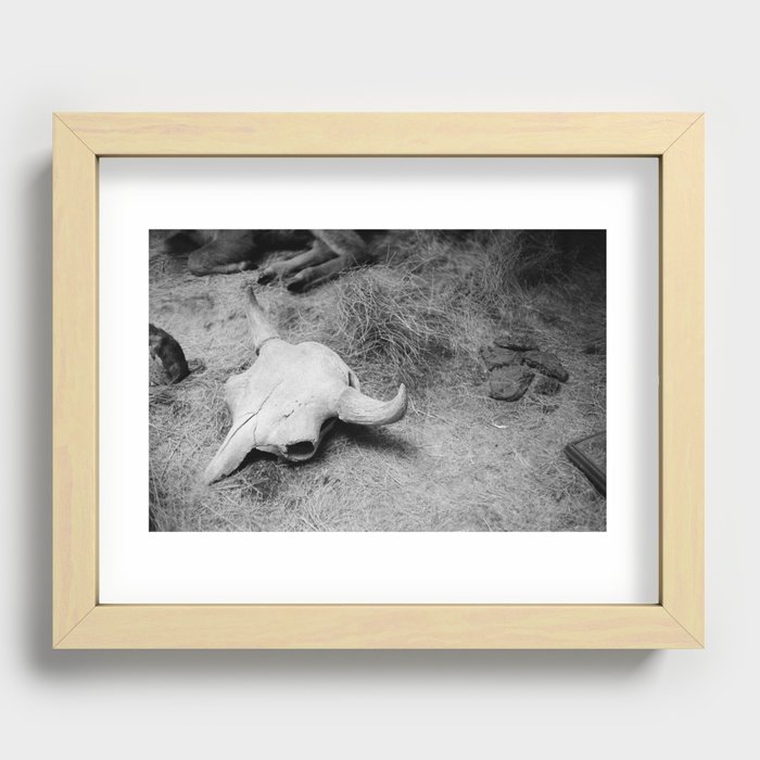 The Bison Recessed Framed Print