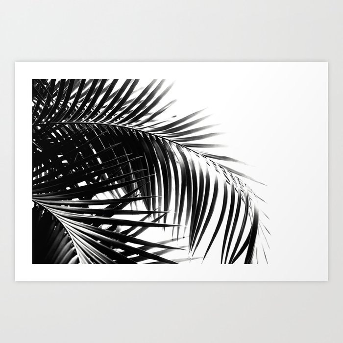 Palm Leaves Black & White Vibes #3 #tropical #decor #art #society6 Kunstdrucke Palm Leaves Black & White Vibes #3 #tropical #decor #art #society6 Kunstdrucke