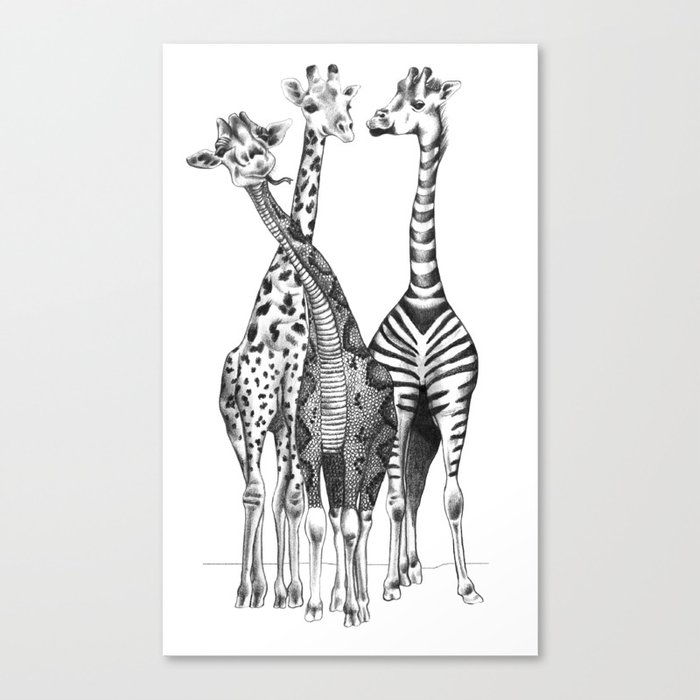 Funny Giraffes Canvas Print