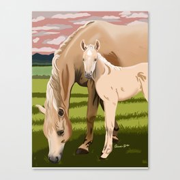 Palomino Horse and baby Canvas Print