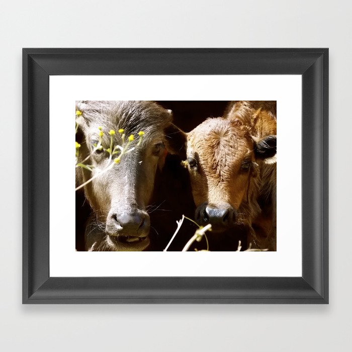 Holy Cow Framed Art Print