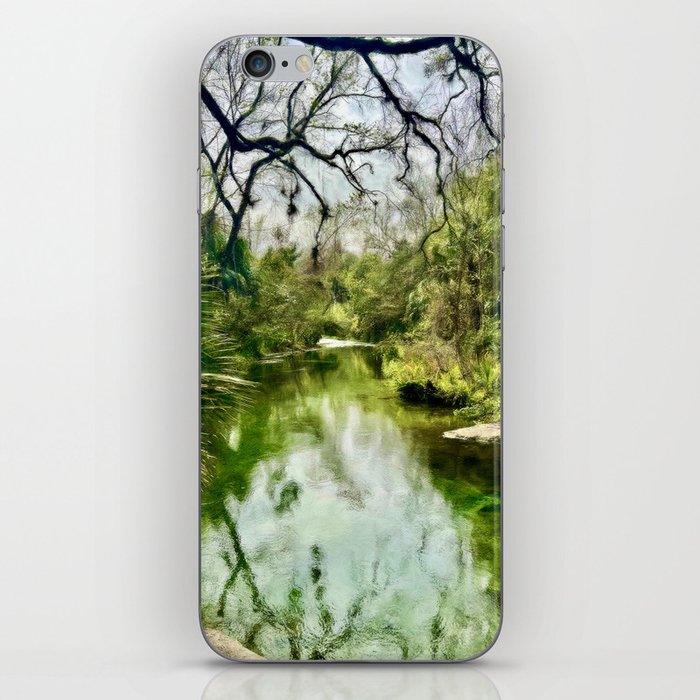 The Tropical Paradise iPhone Skin