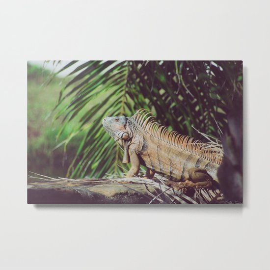 Iggy Metal Print