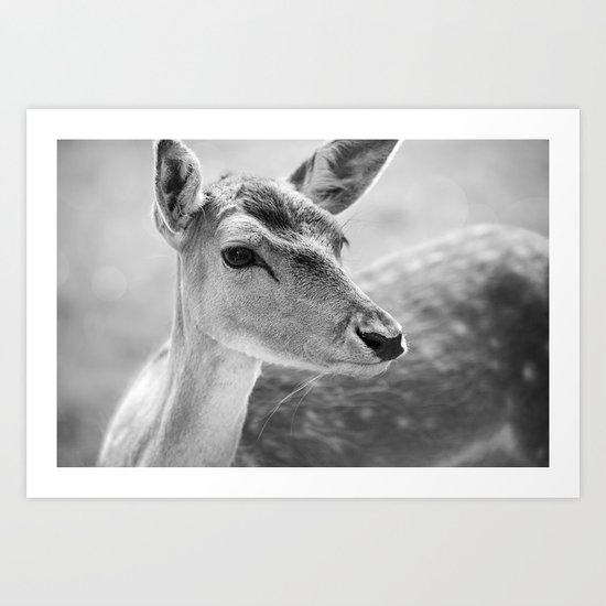 Deer Art Print
