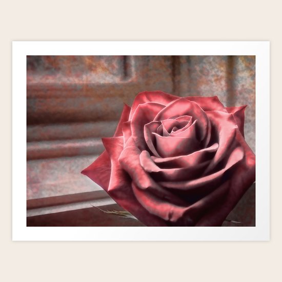 Love Is A Rose Art Print
