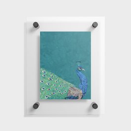 Perfect Peacock gold and turquoise Floating Acrylic Print