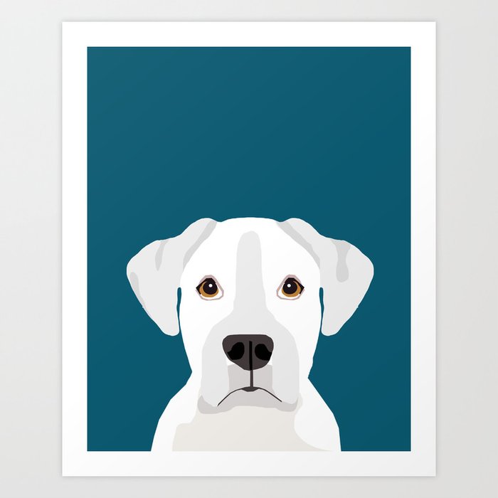 society6