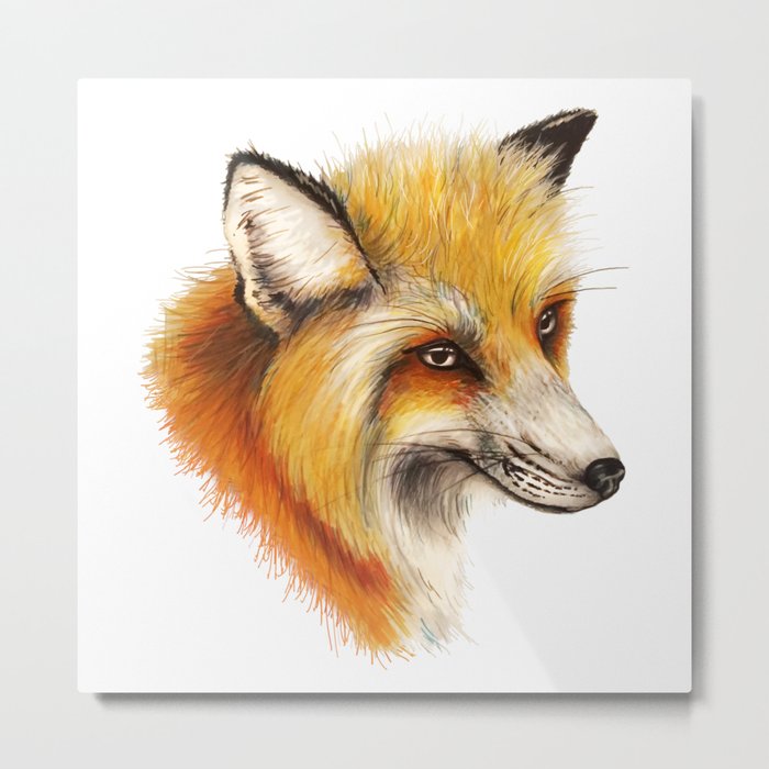 Red Fox Metal Print