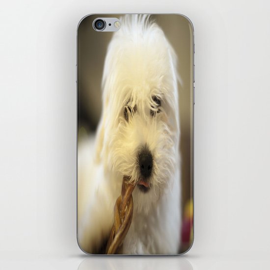 Moriarty & The Bully Stick iPhone & iPod Skin