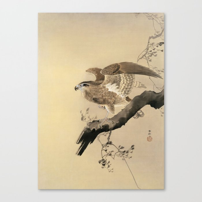 Ohara Koson, Hawk On The Tree Branch - Japanese Vintage Woodblock Print Canvas Print