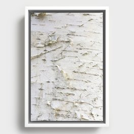 Birch bark pattern Framed Canvas