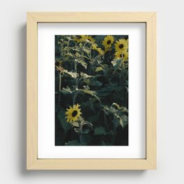 Sun Flower Recessed Framed Print