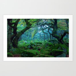 Enchanted forest mood Art Print