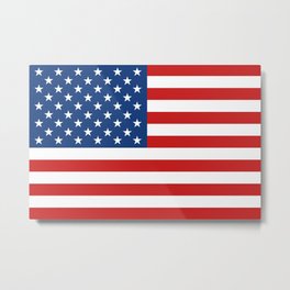 American flag Metal Print