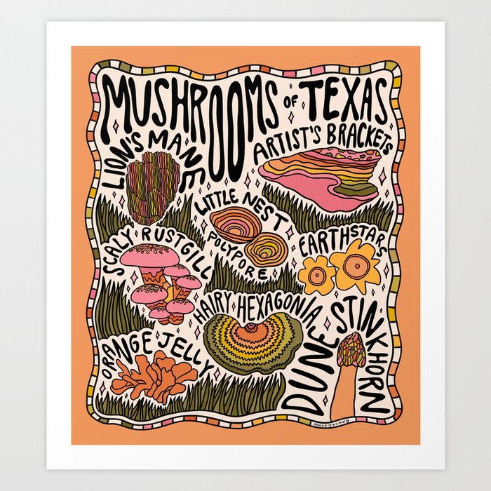 Mushrooms of Texas Art Print