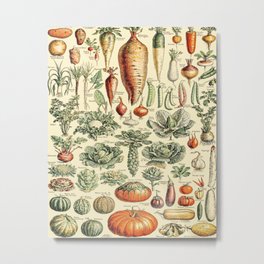 Legumes Vintage Illustration by Adolphe Millot Root Vegetable Fall Autumn Pumpkin Pumpkins Carrot Metal Print | Picture For Bathroom, 60S Science Chart, Beautiful Modern Art, Minimal And Abstract, Indie Farmhouse Farm, Old Artwork Pictures, Cute Bohemian Boho, Summer House Pattern, Guys Apartment Home, College Room Decor 