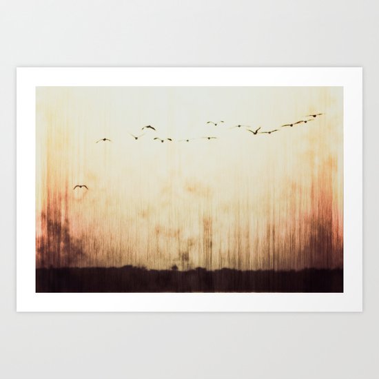 Flying home Art Print