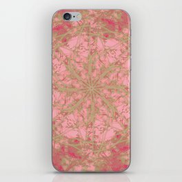 Frame of Reference Fancy  iPhone Skin